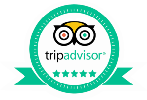 Trip-Advisor-Logo